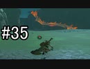 世界を冒険するべく「ゼルダの伝説 ブレスオブザワイルド」実況　part35