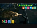 【実況】まいにち あつまれ どうぶつの森143日目