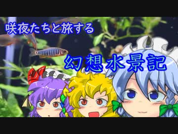 咲夜たちと旅する幻想水景記 第２部　５話～トリミング～