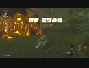 ゼルダの伝説ブレスオブザワイルド実況プレイ(真エンディングを見る)Part5
