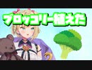 リスナーにいたずらをする胡桃のあ