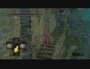 持たざる者が忘れ物をしたようです09【DARKSOULS縛りプレイ】