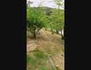 息子と父親のYouTube