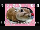 【夏バテ撃退！暑さをのりきるマル秘アイテム！？○○の一気食いシーン付】うさぎたいむ４　うさぎの飼い方