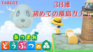 【実況】あつまれどうぶつの森　38連離島ガチャ！キャラメルを求めて【住民厳選】