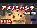 【FF14】アメノミハシラ小ネタ集