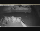 2020-08-13　電磁パルス攻撃