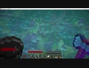 元介護職サローがしゃべりたいだけ【Minecraft】　part38