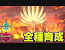 【ポケモン剣盾実況】全種育成その24【キュウコン】