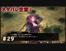 大敗退、シュメンリーの戦い！！