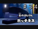 【実況】最後のブンボー軍団【ペーパーマリオ オリガミキング】Part34