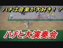 あつまれどうぶつの森　ハチは音楽が好き！？ハチと大演奏会してみた？　【あつ森】