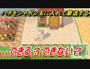 あつまれどうぶつの森　ハチをシャボン玉に入れて撃退する！？できる？できない？　【あつ森】