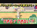 あつまれどうぶつの森　ドラムを叩いてハチを撃退する！？できる？できない？　【あつ森】
