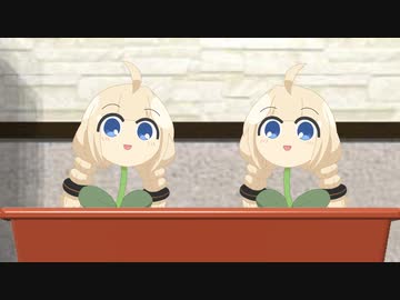 あかり草達と過ごす日々