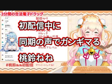 【3分耐久】桃鈴ねね、初配信中に雪花ラミィの声でガンギマる【#ほろふぁいぶ】