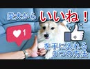 愛犬から「いいね！」を手に入れる３つの方法