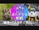 猫寺が人気が沸騰中らしい(沙門のちょい遅れNEWS)