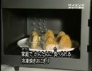 ホモと学ぶ冷凍焼きおにぎりができるまで