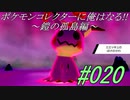 ポケモンコレクターに俺はなる‼～鎧の孤島編～#020
