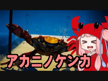 【Fight Crab】アカニノケンカ