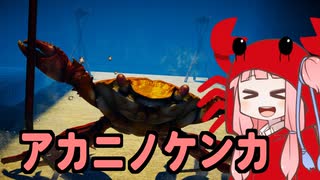 【Fight Crab】アカニノケンカ