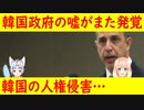 【韓国の反応】報告官も理解したと言っていたのに、韓国を人権弾圧国として国連に報告する事を検討【世界の〇〇にゅーす】