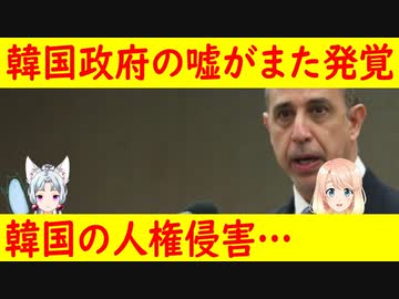 【韓国の反応】報告官も理解したと言っていたのに、韓国を人権弾圧国として国連に報告する事を検討【世界の〇〇にゅーす】