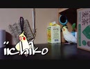 飼い主の事はソレほどでも無いインコ