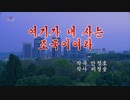 朝鮮中央テレビ「ここが私の住む祖国」【尺】