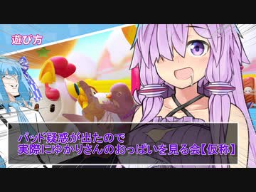 パッド疑惑が出たので実際にゆかりさんのおっぱいを見る会【仮称】