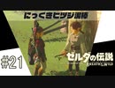 【ゼルダの伝説ブレスオブザワイルド＃21】おいでませハテノ村！ぱ～とつ～【はるの積みゲー崩し】