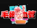 動脈と静脈の間をつなぐ、平滑筋を欠く血管である。【Fall_Guys】
