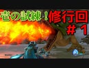 勇者って気じゃないけどPS4版ドラクエ１１実況プレイ　修行回１