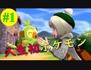 【#1】人生初何も知らない人がポケモンやってみた。　【ポケットモンスター・ソード】【Switch】