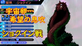 真・女神転生DSJ：希望の息吹
