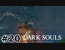 【初見実況】ゲーム下手がダークソウルをクリアするまで　リマスター版 その２０【DARK SOULS REMASTERED】