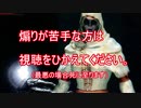 [ダークソウル３]出待ちに侵入！超番外編　✙出待ちスレイヤー✙