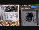 クワガタの王様 Part30【ぼくのなつやすみ2】