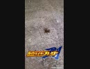 ス ピ ニ ン グ ダ ン ス