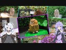 【VOICEROID車載】Versysで雑多なツーリング.Part19「掛川花鳥園へ」