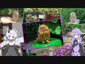 【VOICEROID車載】Versysで雑多なツーリング.Part19「掛川花鳥園へ」