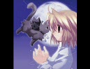 11 Ｍｉｄｎｉｇｈｔ　Ｒａｉｄｅｒ 【深夜の公園】