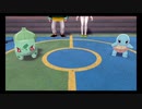 台湾の人がポケモンソードの世界を行く90