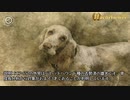 SCP-652 - お天気ワンちゃん