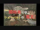 関裕美で学ぶシューベルトの「魔王」