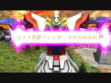 シャイ淫夢フィンガー　そのため右手.mp2