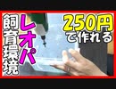 【誰でも作れる！】レオパの飼育環境を250円で作ってみた【5号ベビーちゃんお引越し】