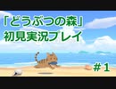 【魚の島を】どうぶつの森 初見実況プレイ動画 #1【作りたい】