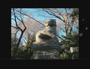 【靖国神社】桜を見る会